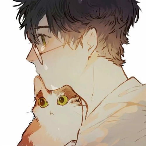动漫男头惊艳朋友圈的文案
