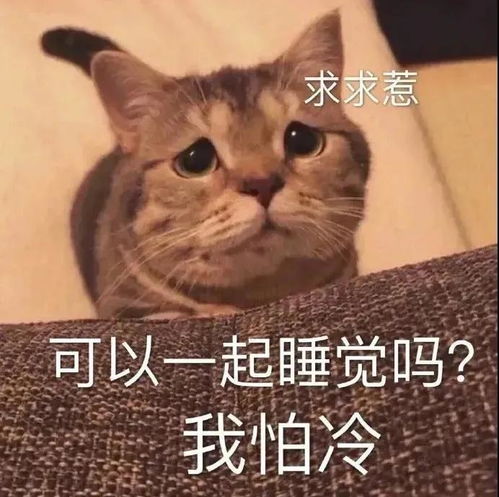 幽默搞笑表情包来,小天鹅,约一下