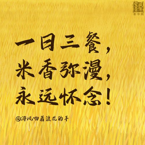 这30句话,是我们对袁隆平最深的思念