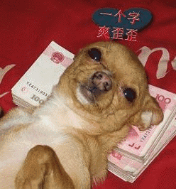不用打字就可以聊天的图片