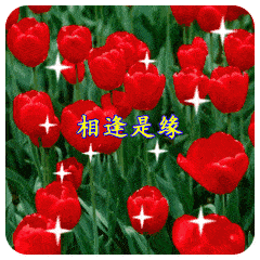 2020处暑节气清晨早安问候动态表情鲜花图片精选8月最新早上好祝福语简短