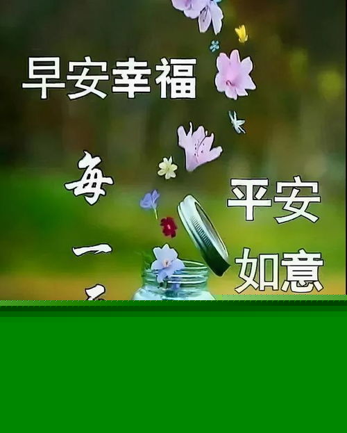 最好的感情,就是找一个能够聊得来的伴,早安