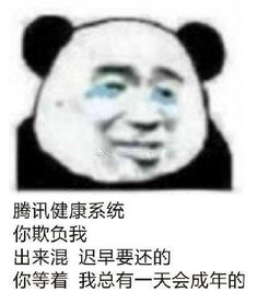 王源玩王者荣耀被防沉迷系统强制下线,粉丝自制沙雕表情包太搞笑