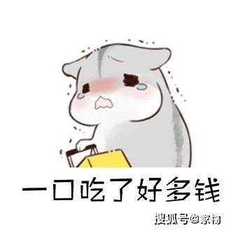 房顶隔热怎么做现在早就不用水泥沥青了,掏空隔热砖不要太好用
