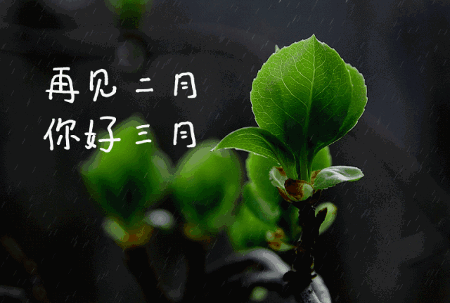 三月你好好运三月祝福动态微信表情图