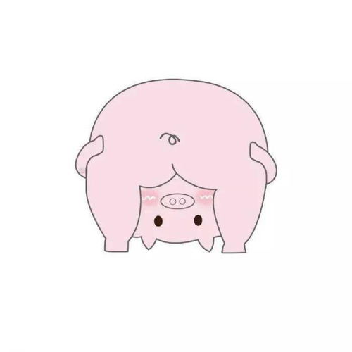 沙雕情侣头像