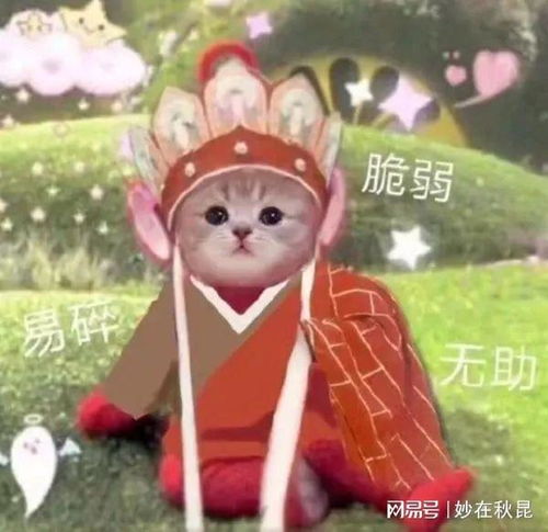 做表情包的文字搞笑新西游记