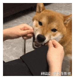 伴娘担心抢了新娘风头,自己躲在角落玩手机,结果评论区沸腾了