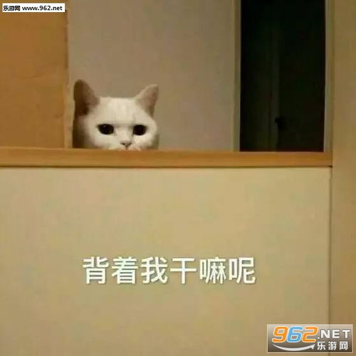 找男人去了搞笑图片背着我干嘛呢表情包下载乐游网游戏下载