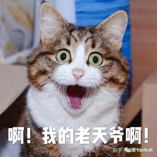 篮网杜兰特欧文小乔丹和湖人詹姆斯戴维斯莱昂纳德谁厉害