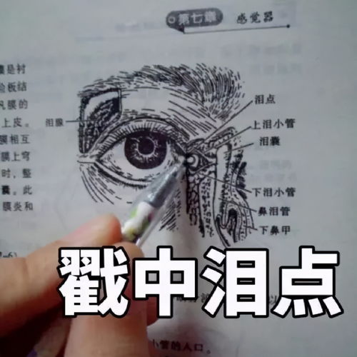医学生专用表情包,哈哈哈可以说很实用了