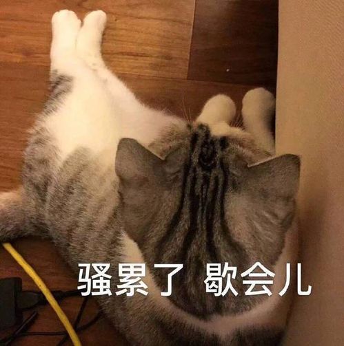 有钱人上班的原因