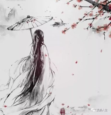 蝶舞回首记忆年