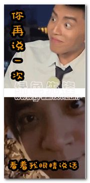 极限挑战全明星动态表情包大全极限挑战全明星动态图片表情最新版软件下载