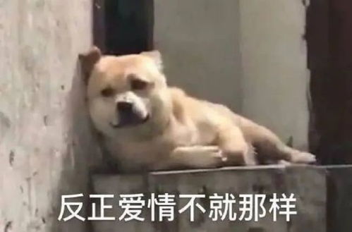 体体面面的离婚,赵丽颖爱情观引起极大舒适