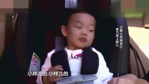 甜馨睡着的小表情好搞笑,贾乃亮无奈直呼