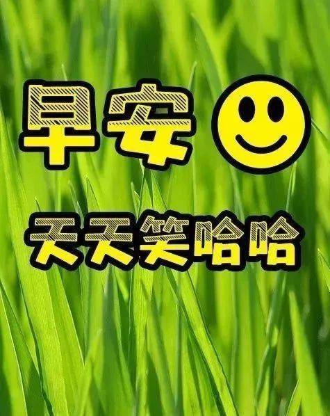 秋季超温馨的早上好问候语动态图片,早安问候温馨图片带字