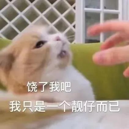 你手机里缺的表情包全都在这