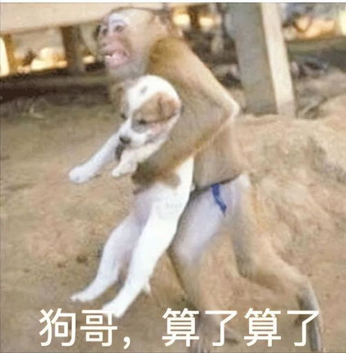 发达的欧美国家,连简单的炒菜都不会中外饮食文化有何差异