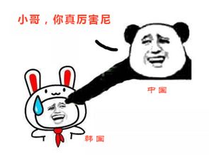 国足疯了,正常人都丢脸了
