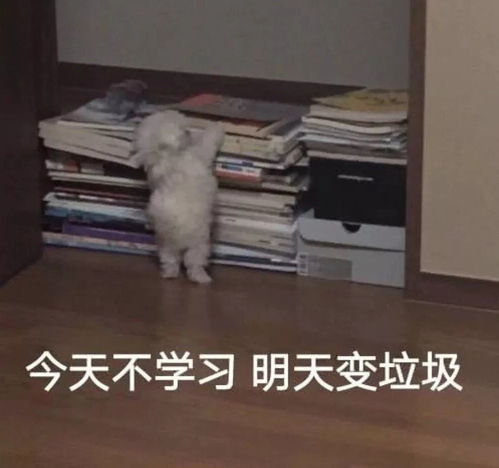 冒死偷拍老师的搞笑照片...现在终于敢发出来了哈哈哈哈哈哈哈笑崩