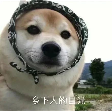 搞笑表情包图片看朋友圈不点赞的当场被抓