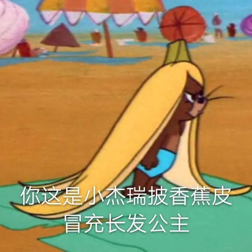 猫和老鼠
