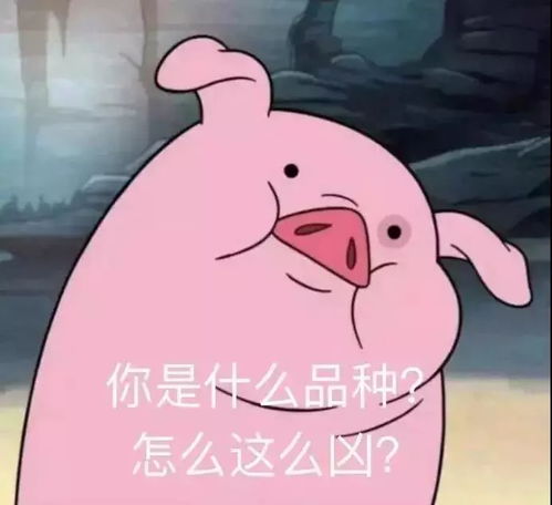 超有趣个性搞怪头像,拿走不谢
