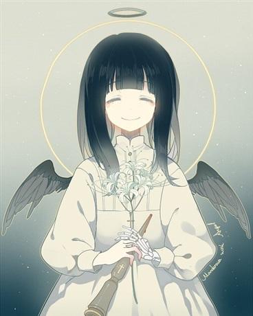daisy雏菊
