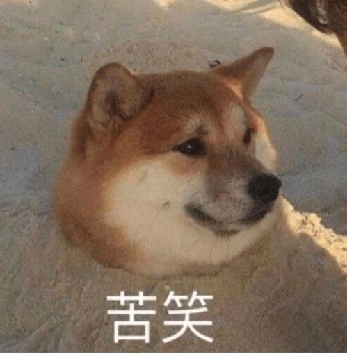 当代沙雕兮兮的朋友圈搞笑文案