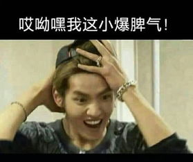 exo成员搞笑带字表情包