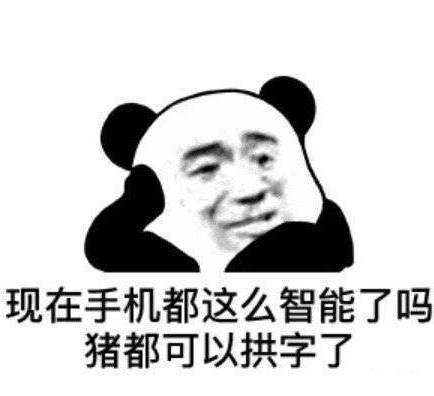 暴躁熊猫头怼人骂人表情包你这只臭猪猪