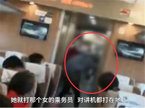 女子乘高铁不戴口罩,乘务员好心提醒却遭打骂,结局太解气