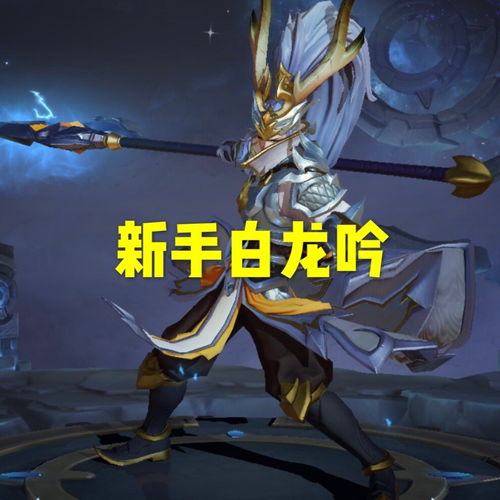 韩信用错皮肤输一半,新手白龙吟,黄金飞衡,而大神才知道他是手感最好的