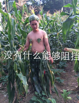 没有什么能阻挡打麻将的心