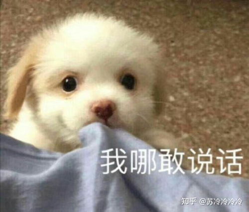 要怎么才能加到腾讯游戏管家小童