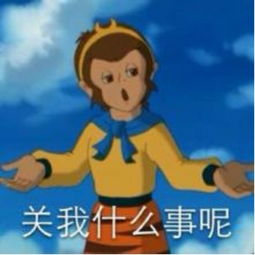 搞笑段子跟老婆认识多年从没买过花,那天约她出来逛街.