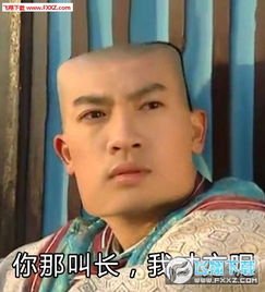 哦的表情包搞笑还珠格格