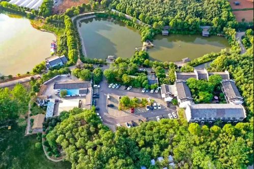 壹家团建你向往的生活,竹馨庄园包了给浮躁的心做一个spa