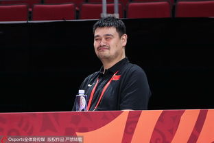 腾讯欢乐捕鱼怎么把金币送好友,苹果手机怎么微乐家乡棋牌,签到的棋牌娱乐,我来教教你麻将魔术教学视频教程我来教教你怎么赢,表情包打麻将