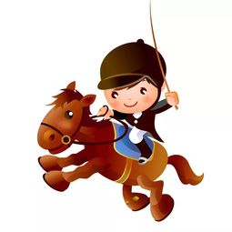 报名2019威森荷兰皇家马术营又双叒叕将开启