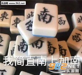 南上加南麻将图片我太南南南南了麻将表情包下载乐游网游戏下载