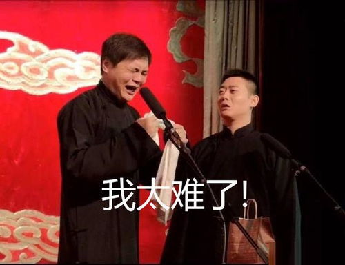表情包系列第三期30张德云社搞笑图片