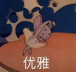 微信qq斗图表情包搞笑表情包