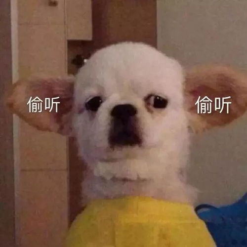 聊天必备沙雕表情包