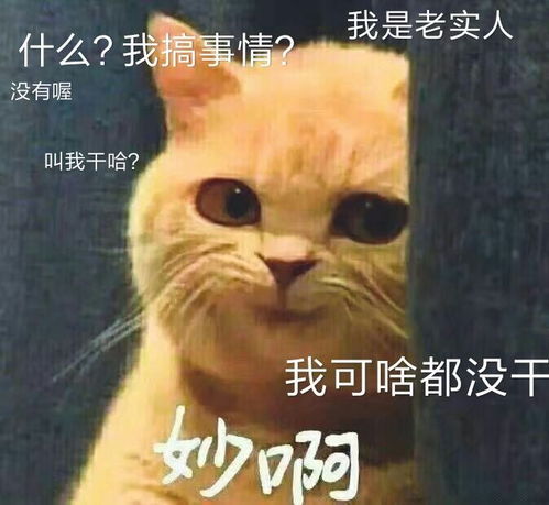 沙雕图片表情包搞笑有个人