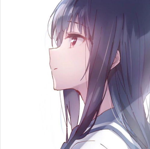 无标题