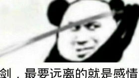 搞笑女的表情包拔剑
