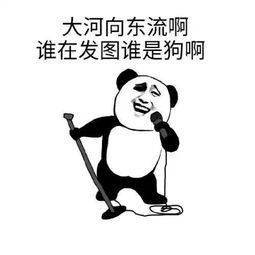 表情包分享2021最新熊猫头搞笑表情包