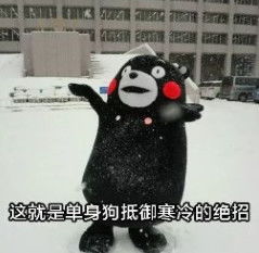 单身狗相关下载单身狗合集下载
